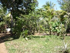 Id5384-Finca Agricola en venta - Masaya , Masatepe
