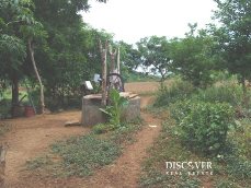 Id5469-Finca Agricola en venta - Rivas , Rivas