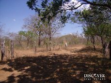Id5489-Finca Agricola en venta - Managua , Montelimar