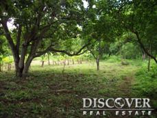 Id5631-Terreno en venta - Masaya , Masaya