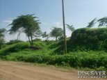 Id5706-Terreno de Playa en venta - Managua , Montelimar