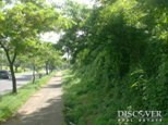 Id5765-Terreno en venta - Managua , Villa Fontana
