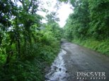Id5811-Finca Agricola en venta - Granada , Diria