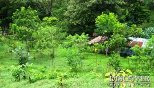 Id5901-Finca Agricola en venta - Boaco , Boaco