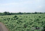 Id5922-Finca Agricola en venta - Managua , Carretera Norte