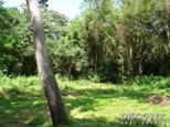 Id5972-Terreno en venta - Managua , Altos de Villa Fontana