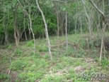 Id6026-Terreno de Playa en venta - Rivas , Playa el Coco