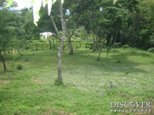 Id6050-Terreno en venta - Managua , Carretera Vieja Leon