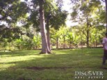 Id6069-Finca Agricola en venta - Carazo , Tupilapa