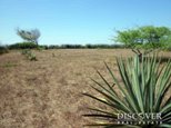 Id6301-Terreno de Playa en venta - León , Poneloya