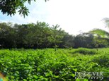 Id6347-Terreno en venta - Managua , Carretera Sur