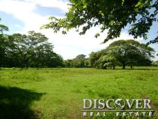 Id6504-Finca Ganadera - Agricola en alquiler y venta - Managua , Carretera Nueva Leon