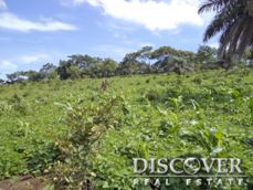 Id6515-Terreno en venta - Managua , Carretera Vieja Leon