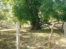 Id656-Terreno de Playa en venta - Managua , Quizala