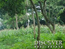 Id6574-Finca Agricola en venta - Carazo , Diriamba