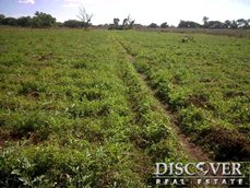 Id6675-Finca Agricola en venta - León , Salinas Grande