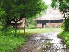 Id6688-Finca Agricola en venta - León , Leon