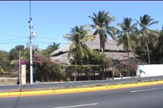 Id789-Finca Agricola en alquiler y venta - Managua , Carretera Nueva Leon