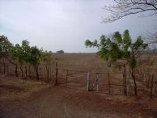 Id799-Zona Franca en venta - Managua , Carretera Nueva Leon