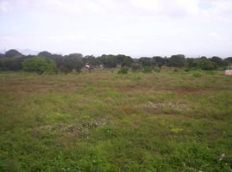 Id807-Terreno en venta - Managua , Villa Fontana Norte