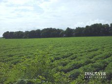 Id925-Finca Agricola en venta - Managua , Carretera Norte