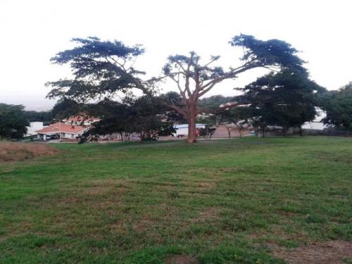 Venta de Terreno en Villa Fontana norte