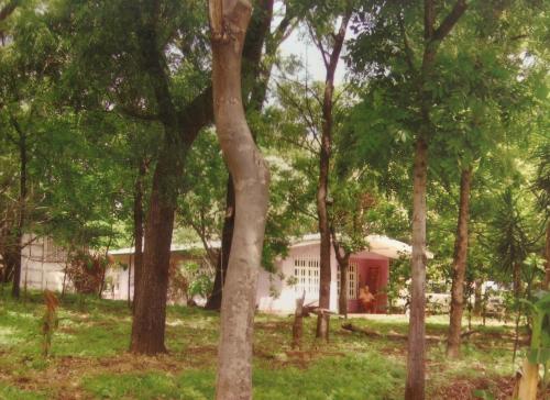 VENDO LOTE EN CARRETERA SUBURBANA