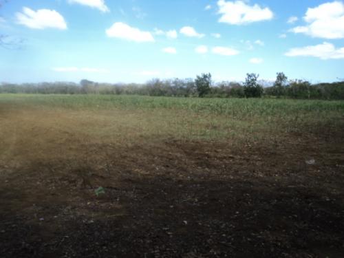 Se Vende Propiedad de 3 Manzanas 100% Planas