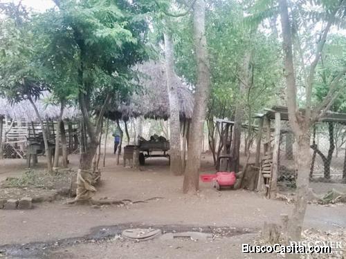 Hermosa Finca en Venta a 2 kms de La Paz Carazo ID11516