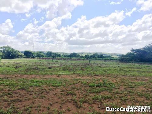 Atractiva Finca en Venta en Carretera Vieja León ID11316
