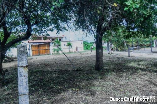 Terreno en venta en Playa Pochomil Viejo ID11223