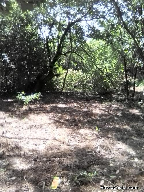 Hermoso terreno en Sabana Grande, Managua