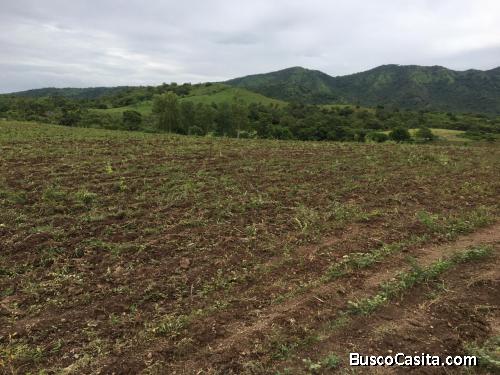 SE VENDE HERMOSA FINCA 