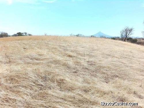 SE VENDE FINCA GANADERA