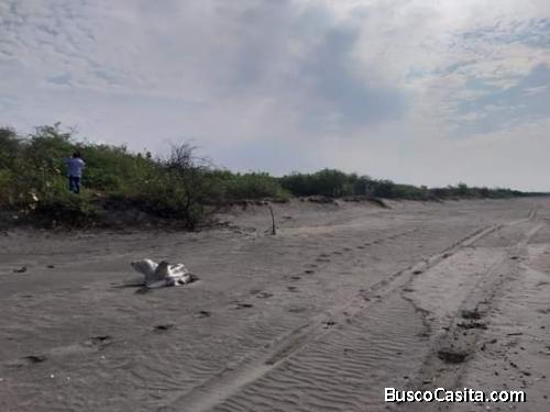 SE VENDE HERMOSAS TIERRAS COSTERAS.