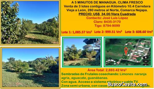 Venta de 3 Lotes Contiguo a Carretera Vieja a Leon