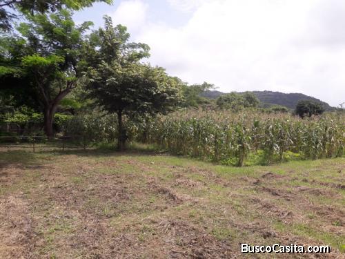 Terreno en san Juan del sur Nicaragua tel 86774417