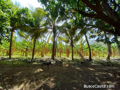 SE VENDE TERENO DE 10 MANZANAS KM 10.5 CARRETERA A MASAYA FRENTE A RESIDENCIAL XOCHITLAN