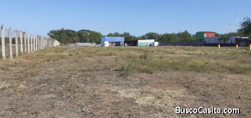Terreno de  5 Manzanas en Sabana Grande 