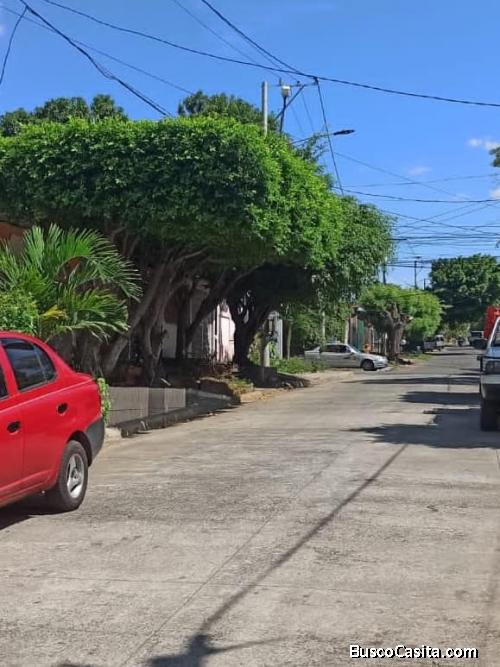 vendo terreno en san judas a una cuadra de mercadito 88177776