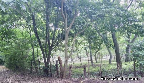 VENTA PROPIEDAD 4.5 MANZANAS 