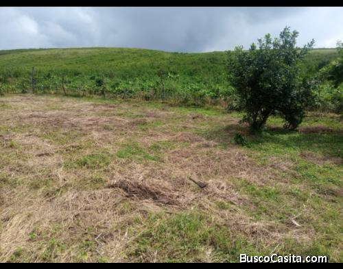 Agradable, Fresco y alejado del bullicio para vivir????????⛅????????