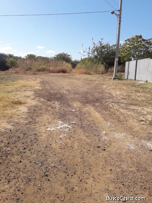Hermoso Terreno en ambiente fresco