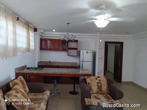 RENTO APARTAMENTO AMUEBLADO
