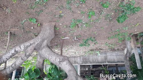 vendo terreno con pequeño cuarto 