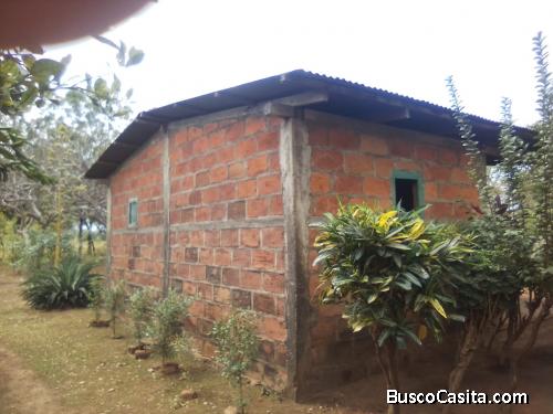 VENTA DE FINCA DE 3MZ 