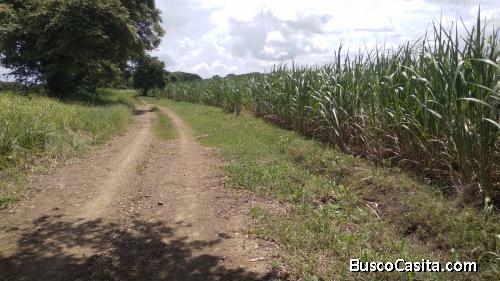 Propiedad en venta 1,400 mzs Nandaime 