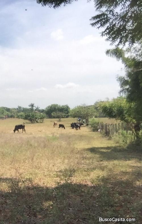 TERRENO EN VENTA EN LOS MADRIGALES NINDIRI