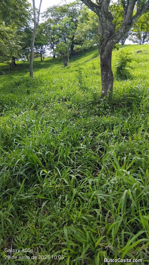 Finca Apta para Ganaderia