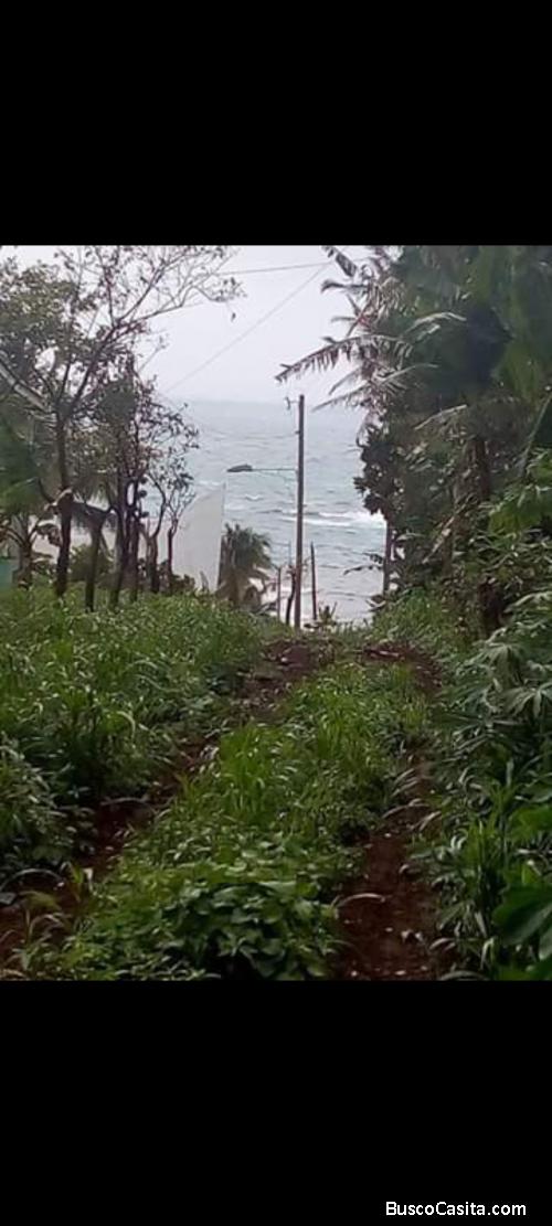 Se vende terreno en corn island 